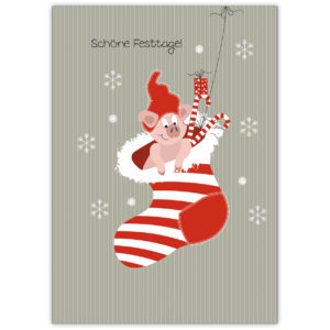 Niedliche Weihnachtskarte: Schöne Festtage! Wünscht dies coole Weihnachts Schweinchen im Nikolaus Strumpf