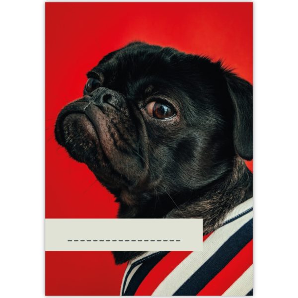 Kartenkaufrausch: Malblock Motiv "french bulldog" aus unserer Malblock Papeterie in rot