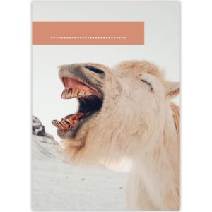 Kartenkaufrausch: Malblock Motiv "lachendes Pony" aus unserer Malblock Papeterie in multicolor