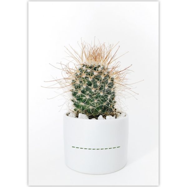 Kartenkaufrausch: Malblock Motiv "kleiner grüner Kaktus" aus unserer Malblock Papeterie in weiß