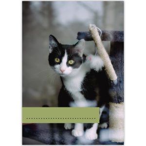 Kartenkaufrausch: Malblock Motiv "Katzen Glück" aus unserer Malblock Papeterie in multicolor