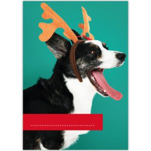 Kartenkaufrausch: Malblock Motiv "Weihnachts Hund" aus unserer Malblock Papeterie in grün