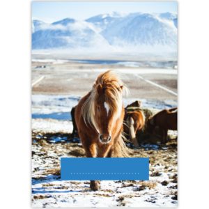 Kartenkaufrausch: Malblock Motiv "Winter Pony" aus unserer Malblock Papeterie in multicolor