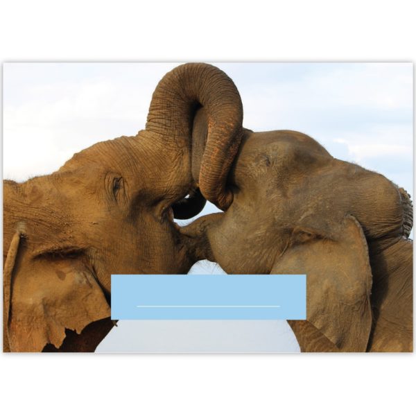 Kartenkaufrausch: Malblock Motiv "Elefanten Glück" aus unserer Malblock Papeterie in multicolor