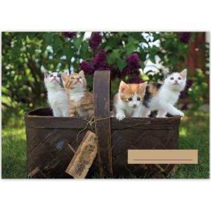 Kartenkaufrausch: Kinder Malblock Motiv "Katzen Korb" aus unserer Malblock Papeterie in multicolor