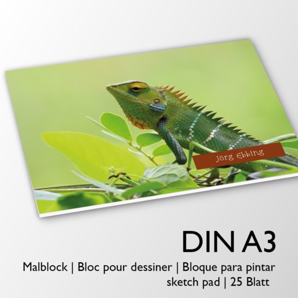 Kartenkaufrausch Zeichenblock in grün: Kinder Malblock Motiv "Chamäleon"
