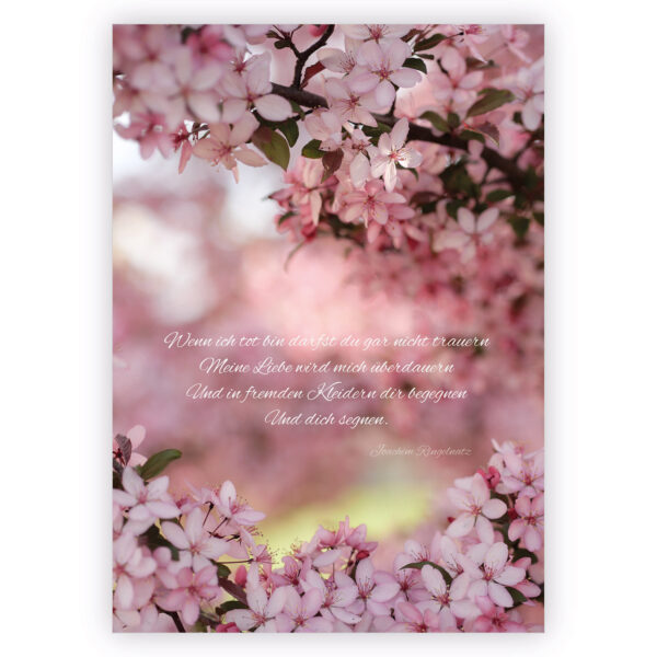 Hoffnung gebende Kondolenzkarte mit Kirschblüte: Wenn ich tot bin darfst du gar nicht trauern