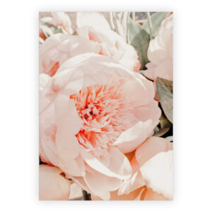 Zarte rosa Pfingstrosen Blumen Grußkarte zum Geburtstag, Jubiläum, Abschied, Dankeschön