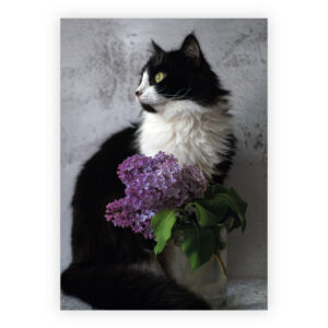 Hochwertige Katzen Grußkarte mit Garten Flieder zum Geburtstag, als Dankeschön