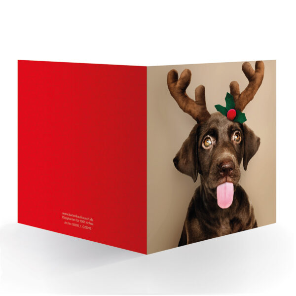 Süße XL Hunde Weihnachtskarte mit Labrador als Elch