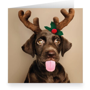 Süße XL Hunde Weihnachtskarte mit Labrador als Elch